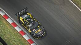 28.11.2020, Digital Nürburgring Endurance Series presented by Goodyear, Round 1, Nürburgring, #217, WS Racing eSports Red, Porsche 911 GT3 Cup (991), Cup2, iRacing
