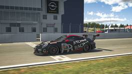 19.12.2020, Digital Nürburgring Endurance Series presented by Goodyear, DNLS Round 2, MAHLE 3h-Race, Nürburgring, #227, Ascher Racing, Porsche 911 GT3 Cup (991), Cup2, iRacing