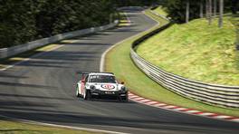 19.12.2020, Digital Nürburgring Endurance Series presented by Goodyear, DNLS Round 2, MAHLE 3h-Race, Nürburgring, #287, Deutsche Payment@Raceunion, Porsche 911 GT3 Cup (991), Cup2, iRacing