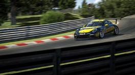 19.12.2020, Digital Nürburgring Endurance Series presented by Goodyear, DNLS Round 2, MAHLE 3h-Race, Nürburgring, #208, Team Nürburgring eSports, Porsche 911 GT3 Cup (991), Cup2, iRacing
