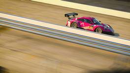21.10.2021, 24H SERIES ESPORTS, Round 2, Sebring, #23, Arnage Competition Porsche 911 GT3 R: Ricardo Ferreira, iRacing