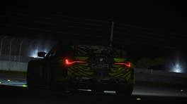 21.10.2021, 24H SERIES ESPORTS, Round 2, Sebring, #24, GermanSimRacing.de by ACV BMW M4 GT3: Adam Wulkowicz, , iRacing