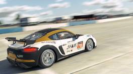 23.10.2021, Creventic Endurance Series, Round 4, Sebring, #718, PorscheSport Porsche 718 Cayman GT4, iRacing