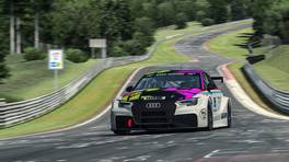16.01.2021, Digital Nürburgring Endurance Series presented by Goodyear, DNLS Round 3, TÜV Rheinland 3h-Race, Nürburgring, #407, Low Grip Racing Team, Audi RS3 LMS, SP3T, iRacing