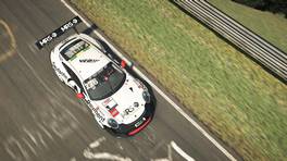 16.01.2021, Digital Nürburgring Endurance Series presented by Goodyear, DNLS Round 3, TÜV Rheinland 3h-Race, Nürburgring, #278, MRS-GT Racing @Deutsche Payment, Porsche 911 GT3 Cup (991), Cup2, iRacing