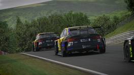 06.03.2021, Digital Nürburgring Endurance Series presented by Goodyear, DNLS Round 5, LEGO Technic 3h-Race, Nürburgring, #477, SimRC SP3T ProSim, Audi RS3 LMS, SP3T, Marvin Strehl, Joker, iRacing