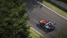 07.11.2021, Digital Nürburgring Endurance Series presented by Goodyear, H&R 3h-Rennen, Round 1, Nürburgring, #208 Coanda Simsport, Cup2, Porsche 911 GT3 Cup (992), iRacing