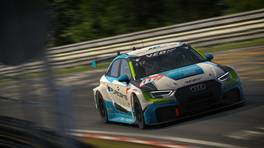24.-25.04.2021, iRacing 24h Nürburgring powered by VCO, VCO Grand Slam, #117, Puresims and Friends, Audi RS 3 LMS