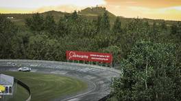 24.-25.04.2021, iRacing 24h Nürburgring powered by VCO, VCO Grand Slam, #263, Mario Kart Motorsports, GT4 Nurb