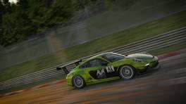 24.-25.04.2021, iRacing 24h Nürburgring powered by VCO, VCO Grand Slam, #41, AVA Confused Zecarul, Porsche 911