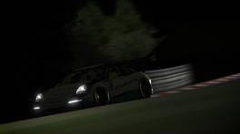 24.-25.04.2021,Â iRacing 24h NÃ¼rburgring powered by VCO, VCO Grand Slam, #116, Puresims Esports, Porsche 911