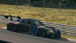 24.-25.04.2021, iRacing 24h Nürburgring powered by VCO, VCO Grand Slam, #5, Douradinhos racing, BMW M4 GT3 - Prototype