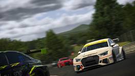 24.-25.04.2021, iRacing 24h Nürburgring powered by VCO, VCO Grand Slam, #312, PRIVATEERS, Audi RS 3 LMS