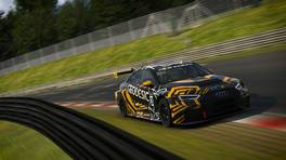 24.-25.04.2021, iRacing 24h Nürburgring powered by VCO, VCO Grand Slam, #200, Alpinestars Geodesic Racing Gold, Audi RS 3 LMS