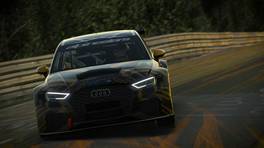 24.-25.04.2021, iRacing 24h Nürburgring powered by VCO, VCO Grand Slam, #200, Alpinestars Geodesic Racing Gold, Audi RS 3 LMS