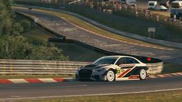 24.-25.04.2021, iRacing 24h Nürburgring powered by VCO, VCO Grand Slam, #12, DNA, Audi RS 3 LMS