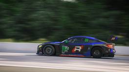 02.10.2021, iRacing Petit Le Mans powered by VCO, VCO Grand Slam, #72, BMW Team Redline Blue BMW M4 GT3