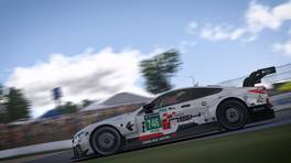 02.10.2021, iRacing Petit Le Mans powered by VCO, VCO Grand Slam, #746, NSH Racing Team BMW M8 GTE