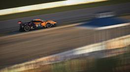 02.10.2021, iRacing Petit Le Mans powered by VCO, VCO Grand Slam, #11, P1 Esport Chevrolet Corvette C8.R