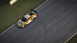 02.10.2021, iRacing Petit Le Mans powered by VCO, VCO Grand Slam, #13, PGZ x Rijk Porsche 991 RSR