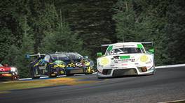 02.10.2021, iRacing Petit Le Mans powered by VCO, VCO Grand Slam, #9, Williams Esports Porsche 911 GT3.R