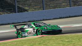 29.01.2022, AHU Endurance by VCO, Round 1, Spa-Francorchamps, #169, Apex Hunters United eSports #169, Porsche 911 GT3 R, iRacing