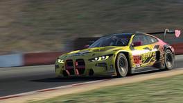 29.01.2022, AHU Endurance by VCO, Round 1, Spa-Francorchamps, #237, Team MRX Race Sims, BMW M4 GT3 Prototype, iRacing