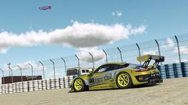 19.02.2022, AHU Endurance by VCO, Round 2, Sebring, Safety Car, iRacing