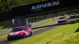 06.04.2022, Esports Racing League (ERL) by VCO, Round 3, Brands Hatch, iRacing, #510, Arnage Competition, Ricardo Rico.