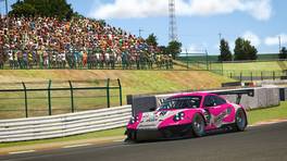 12.11.2022, iRacing 10h Suzuka powered by VCO, VCO Grand Slam, #18, Arnage Competition 100, Porsche 911 GT3.R