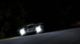 07.10.2023, iRacing Petit Le Mans powered by VCO, VCO Grand Slam, #13, Red Panda Racing, Dallara P217 LMP2