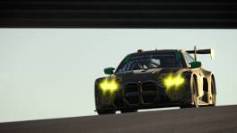 07.10.2023, iRacing Petit Le Mans powered by VCO, VCO Grand Slam, #114, Team PGZ, BMW M4 GT3