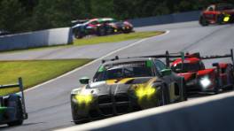 07.10.2023, iRacing Petit Le Mans powered by VCO, VCO Grand Slam, #114, Team PGZ, BMW M4 GT3