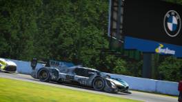 07.10.2023, iRacing Petit Le Mans powered by VCO, VCO Grand Slam, #89, BS+COMPETITION, BMW M Hybrid V8