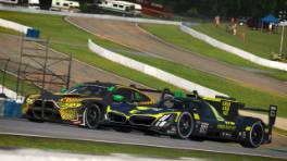 07.10.2023, iRacing Petit Le Mans powered by VCO, VCO Grand Slam, #003, Grid-and-Go.com eSports, BMW M Hybrid V8