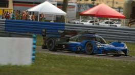 23.-.24.03.2024, iRacing 12h Sebring powered by VCO, VCO Grand Slam, #27, Parnell Racing, Acura ARX-06
