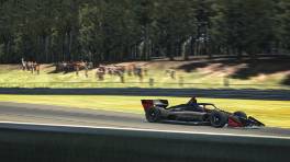 20.07.2024, VCO IndyCar Challenge Powered by Open-Wheels, Round 2, Barber Motorsports Park, #18, Adam State, WSR eSports Buttkicker